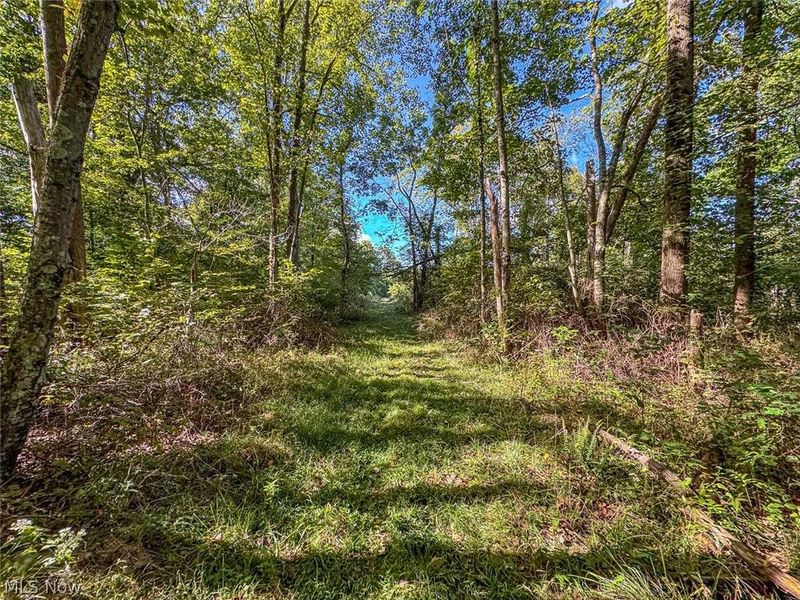 0 SE Kleski Road, Uhrichsville, OH 44683 Photo 18