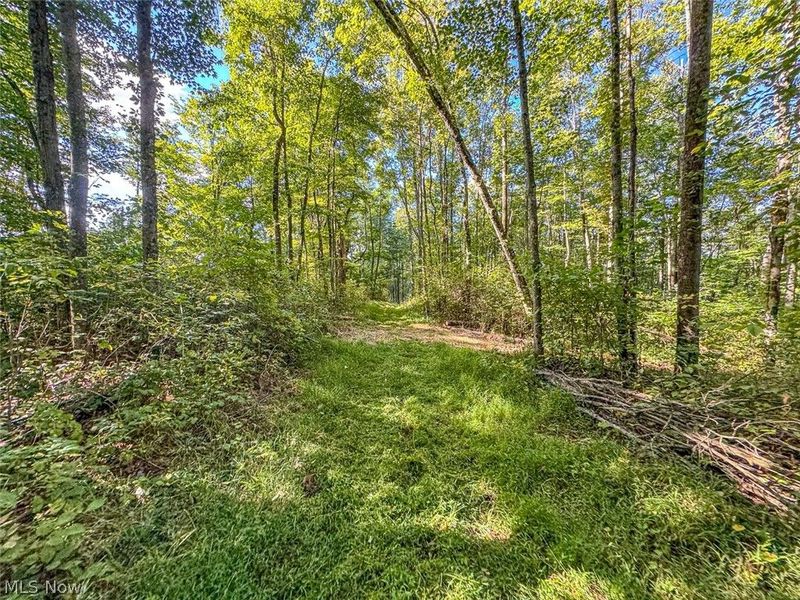 0 SE Kleski Road, Uhrichsville, OH 44683 Photo 19