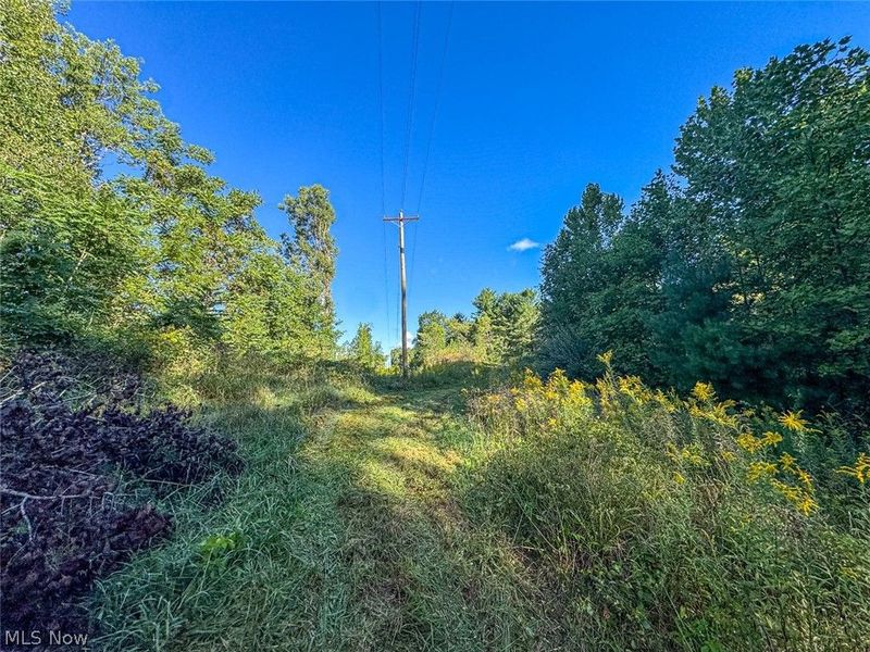 0 SE Kleski Road, Uhrichsville, OH 44683 Photo 26