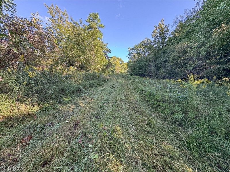 0 SE Kleski Road, Uhrichsville, OH 44683 Photo 27