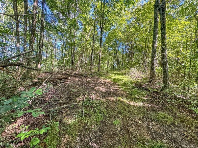 0 SE Kleski Road, Uhrichsville, OH 44683 Photo 30