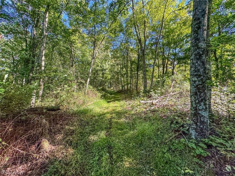 0 SE Kleski Road, Uhrichsville, OH 44683 Photo 31