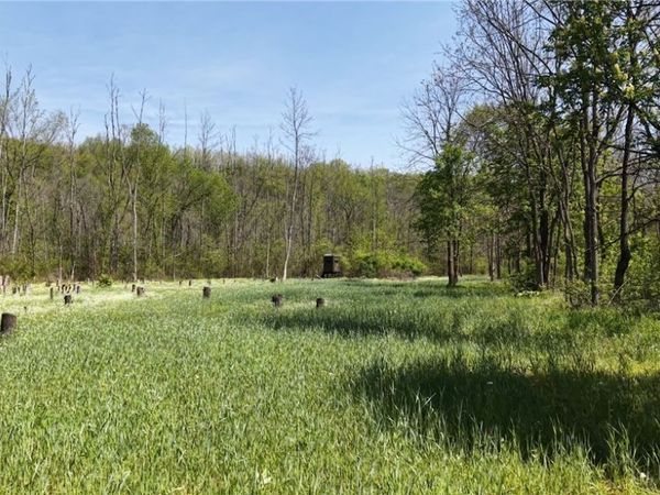 Egypt North Road , Barnesville, OH 43713
