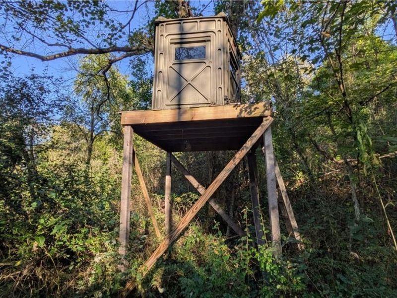 Egypt North Road, Barnesville, OH 43713 Photo 10