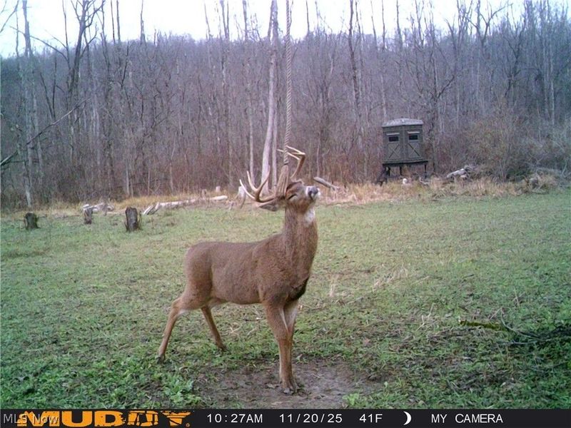 Egypt North Road, Barnesville, OH 43713 Photo 12