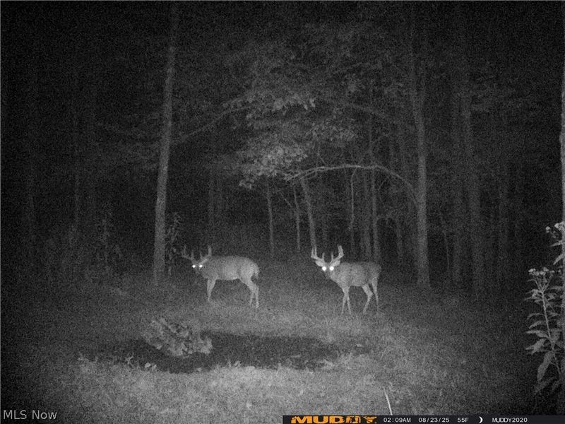 Egypt North Road, Barnesville, OH 43713 Photo 17