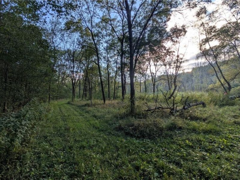 Egypt North Road, Barnesville, OH 43713 Photo 2