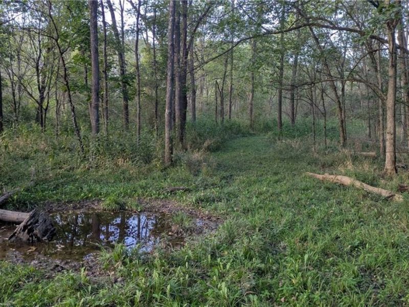 Egypt North Road, Barnesville, OH 43713 Photo 4
