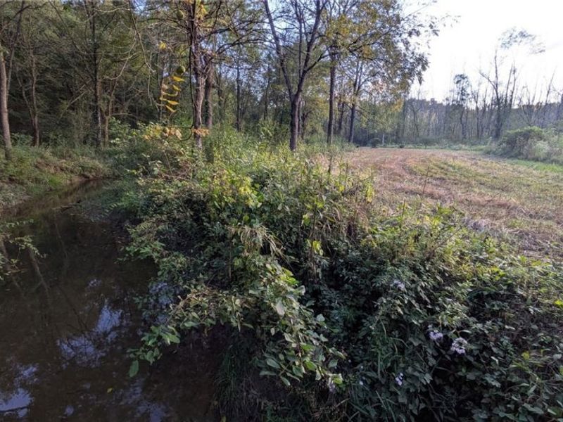 Egypt North Road, Barnesville, OH 43713 Photo 6