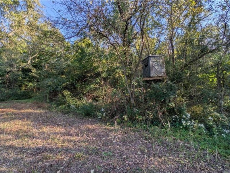 Egypt North Road, Barnesville, OH 43713 Photo 7