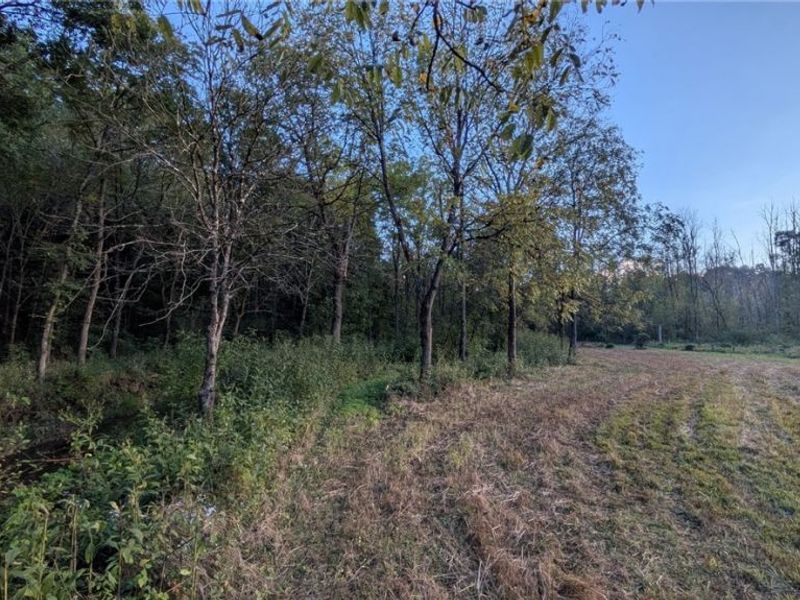 Egypt North Road, Barnesville, OH 43713 Photo 8