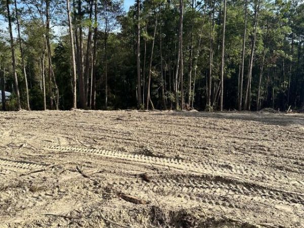 2509 RABBIT Court, Middleburg, FL 32068