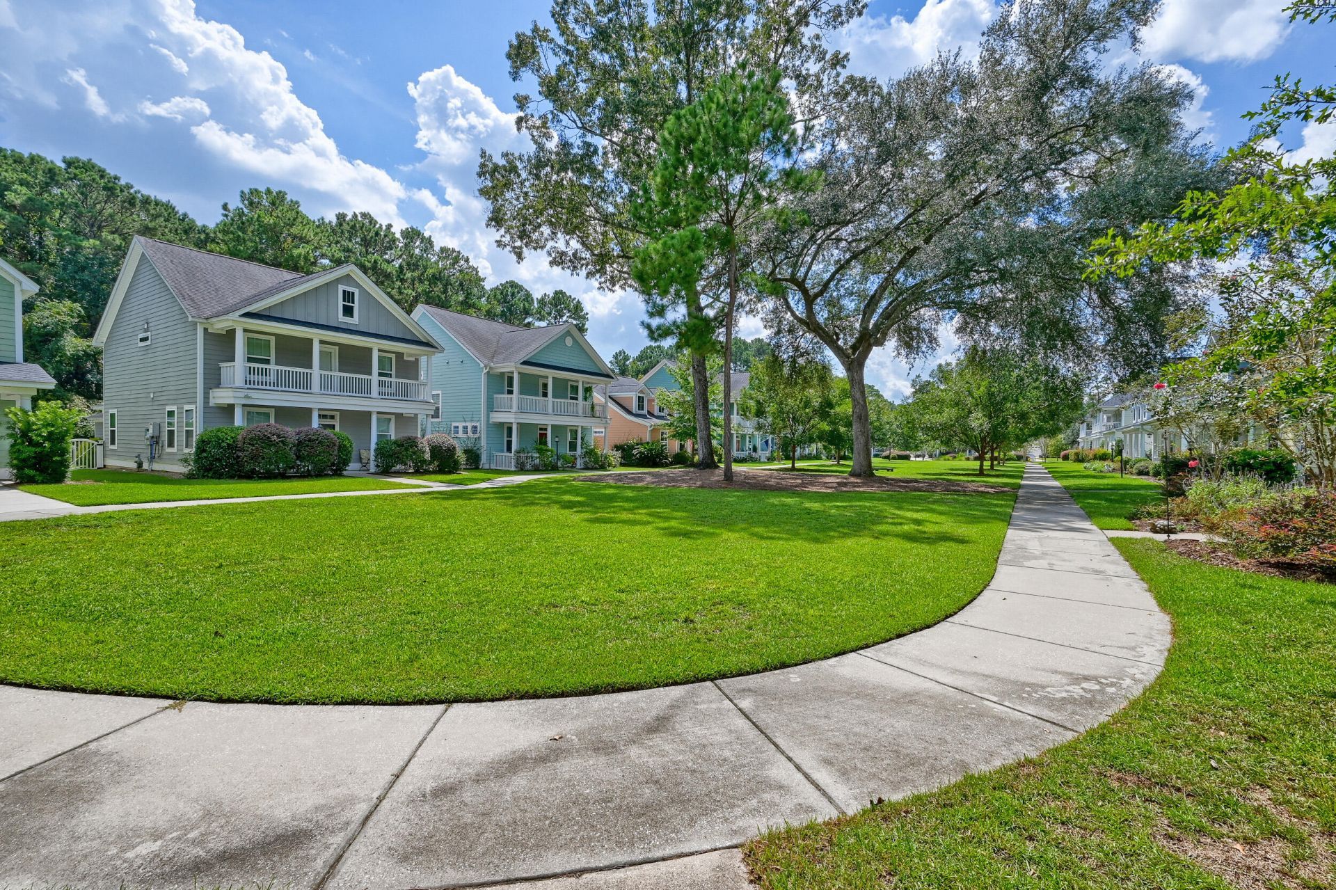 2917 Swamp Sparrow Circle Photo 40