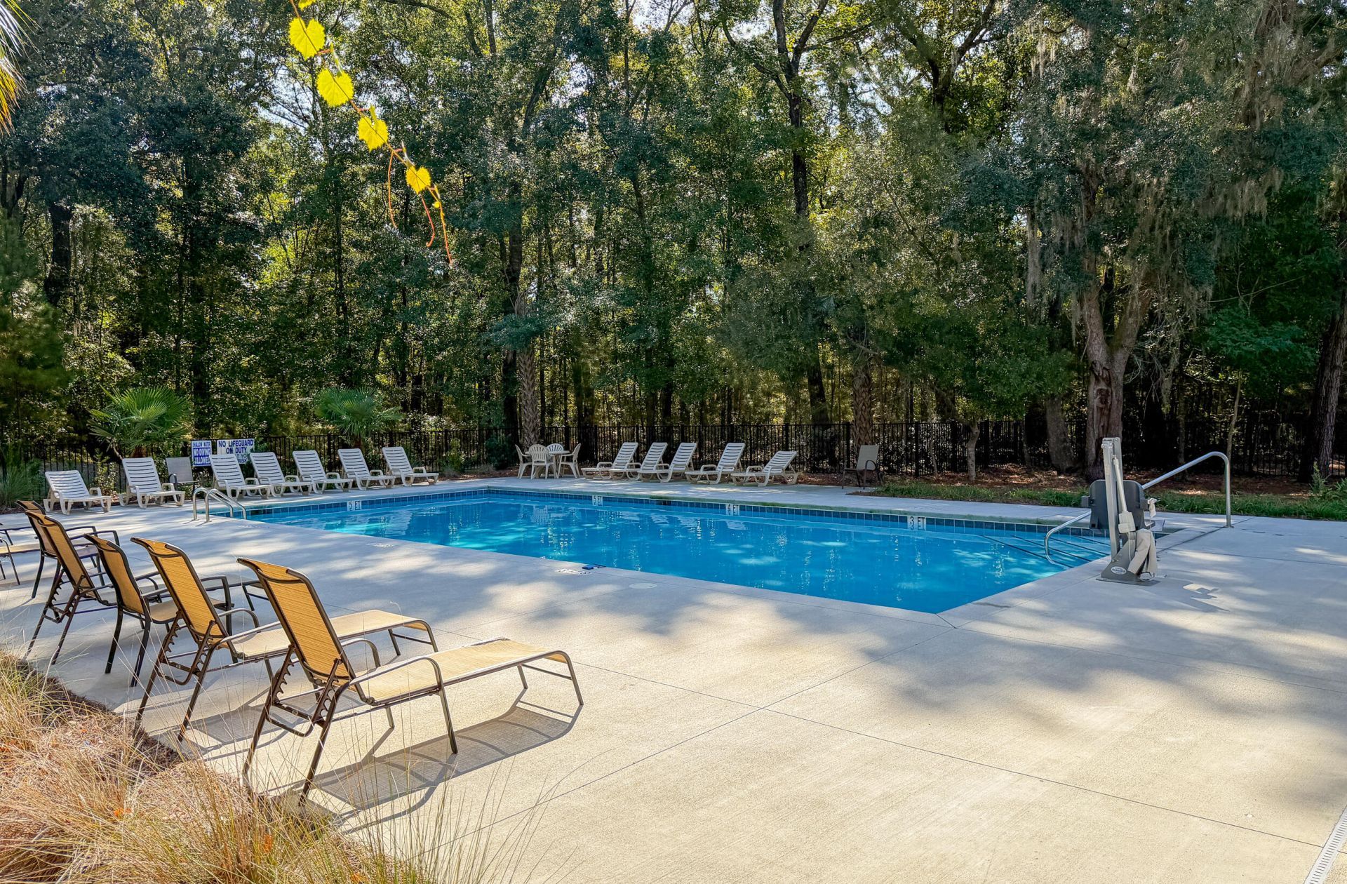2917 Swamp Sparrow Circle Photo 65