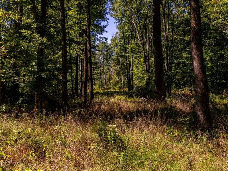 2587 Moler Road, Wayne Township, OH 45122 Photo 10