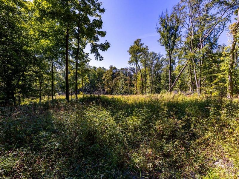2587 Moler Road, Wayne Township, OH 45122 Photo 8