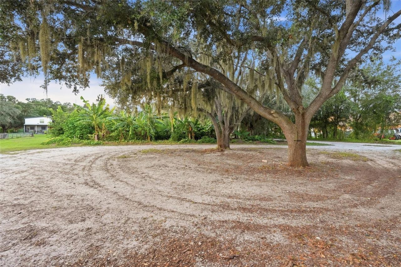 1132 Lena Lane , Sarasota, FL 34240 Photo