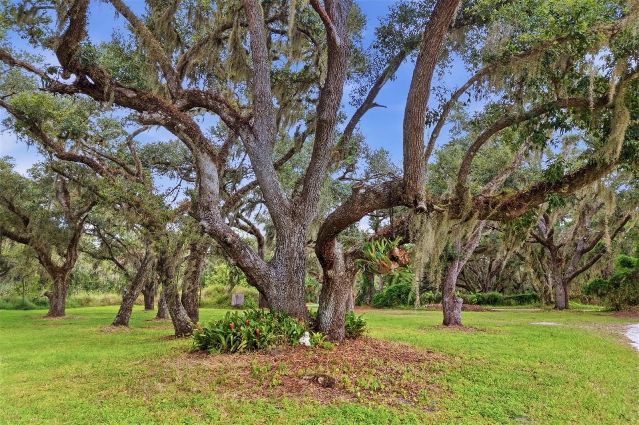 1132 Lena Lane , Sarasota, FL 34240 Photo