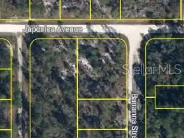 3021 JAPONICA AVENUE , LAKE PLACID, FL 33852