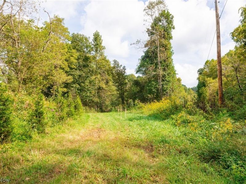 37500 Goose Run Road, Unit 1, Dexter City, OH 45727 Photo 13