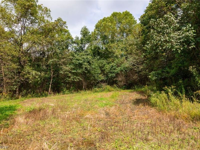37500 Goose Run Road, Unit 1, Dexter City, OH 45727 Photo 14