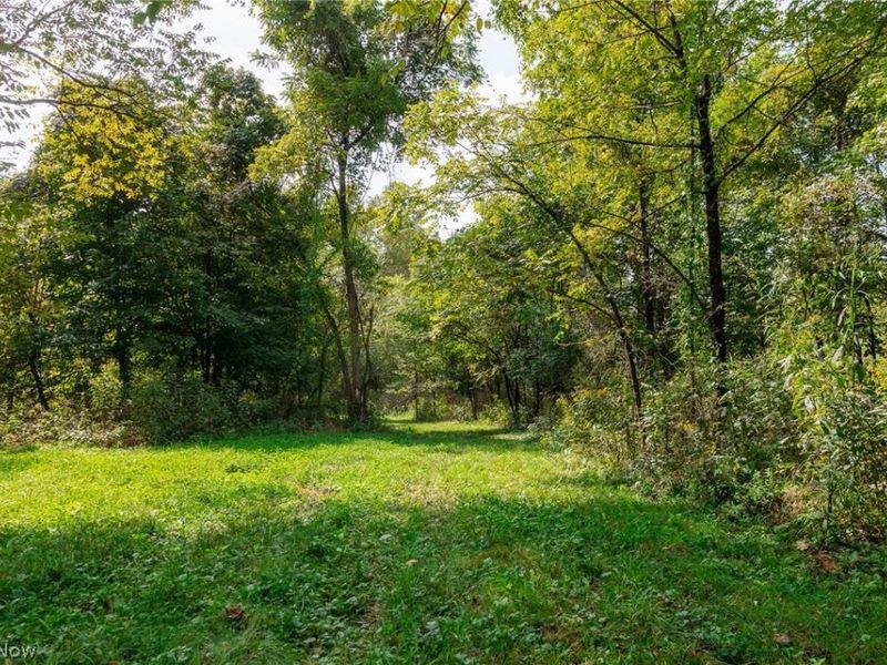 37500 Goose Run Road, Unit 1, Dexter City, OH 45727 Photo 17