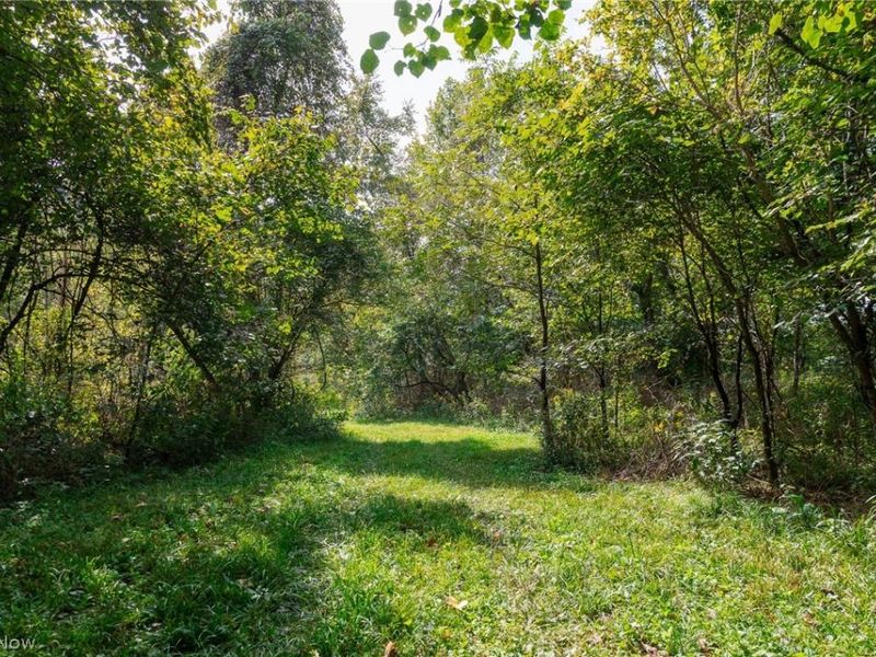37500 Goose Run Road, Unit 1, Dexter City, OH 45727 Photo 18