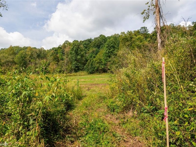37500 Goose Run Road, Unit 1, Dexter City, OH 45727 Photo 19