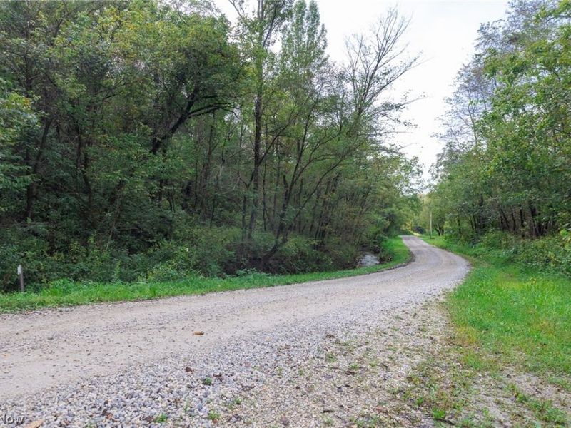 37500 Goose Run Road, Unit 1, Dexter City, OH 45727 Photo 2