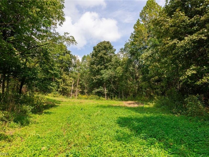 37500 Goose Run Road, Unit 1, Dexter City, OH 45727 Photo 21