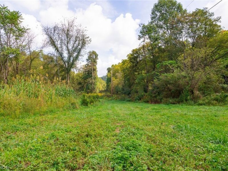 37500 Goose Run Road, Unit 1, Dexter City, OH 45727 Photo 6