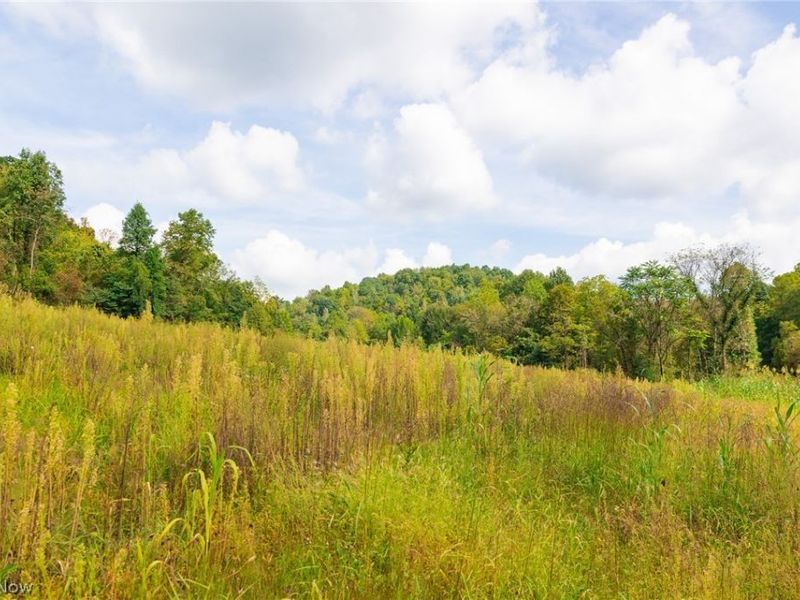37500 Goose Run Road, Unit 1, Dexter City, OH 45727 Photo 7