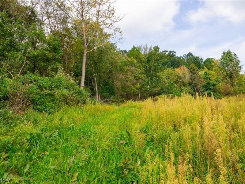 37500 Goose Run Road, Unit 1, Dexter City, OH 45727 Photo 8