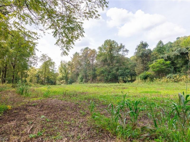 37500 Goose Run Road, Unit 2, Dexter City, OH 45727 Photo 10