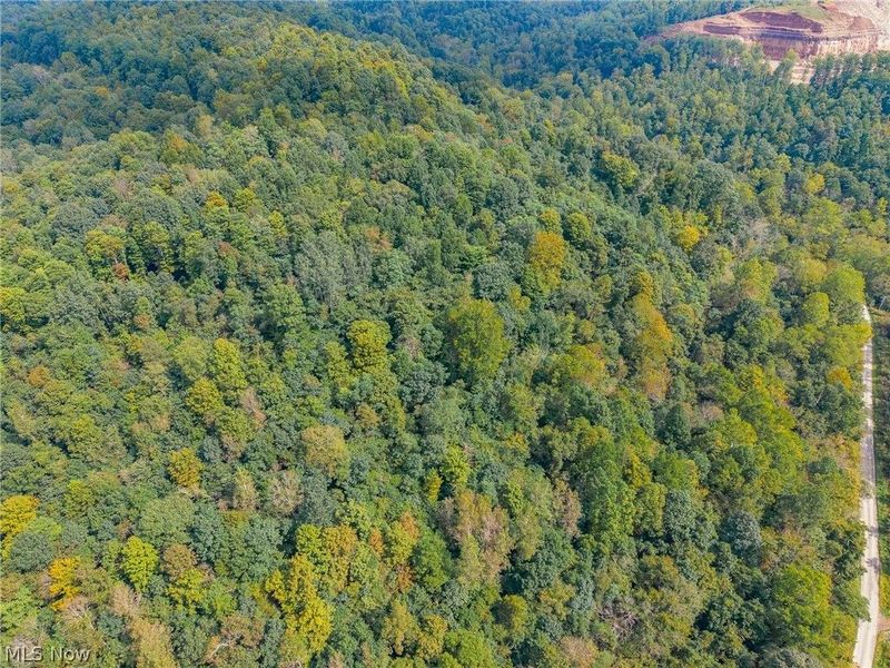 37500 Goose Run Road, Unit 2, Dexter City, OH 45727 Photo 14