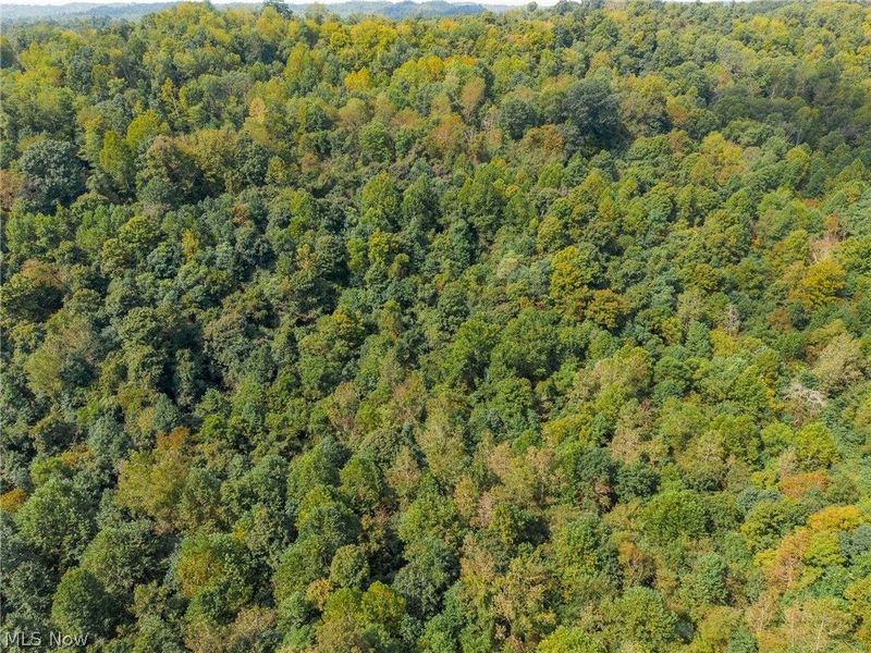 37500 Goose Run Road, Unit 2, Dexter City, OH 45727 Photo 15