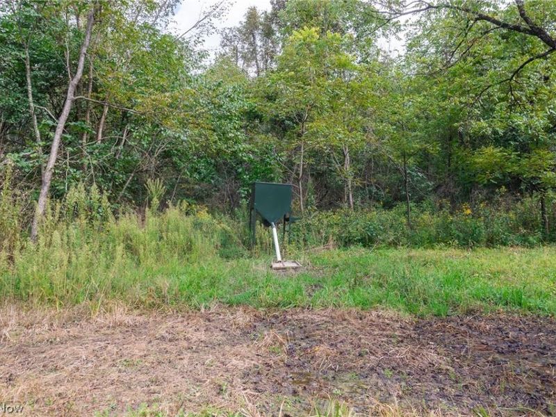 37500 Goose Run Road, Unit 2, Dexter City, OH 45727 Photo 6