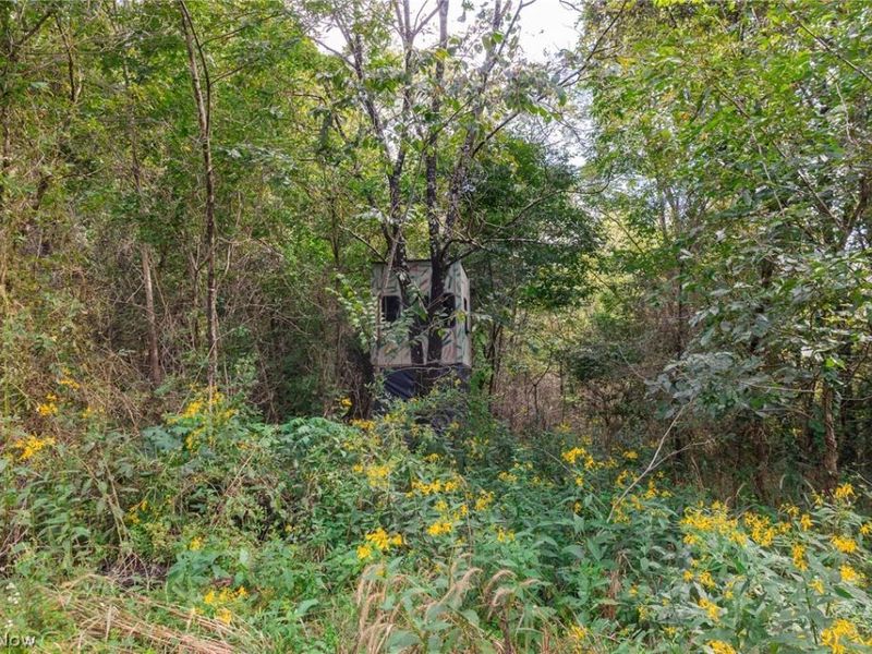 37500 Goose Run Road, Unit 2, Dexter City, OH 45727 Photo 7