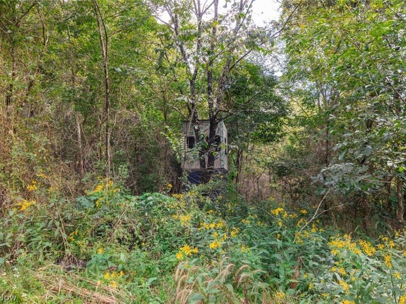 37500 Goose Run Road, Unit 2, Dexter City, OH 45727 Photo 8
