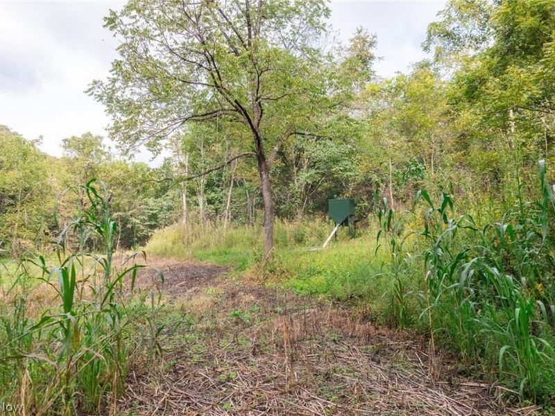 37500 Goose Run Road, Unit 2, Dexter City, OH 45727 Photo 9