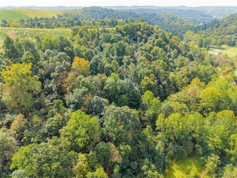 37500 Goose Run Road, Unit 3, Dexter City, OH 45727 Photo 5