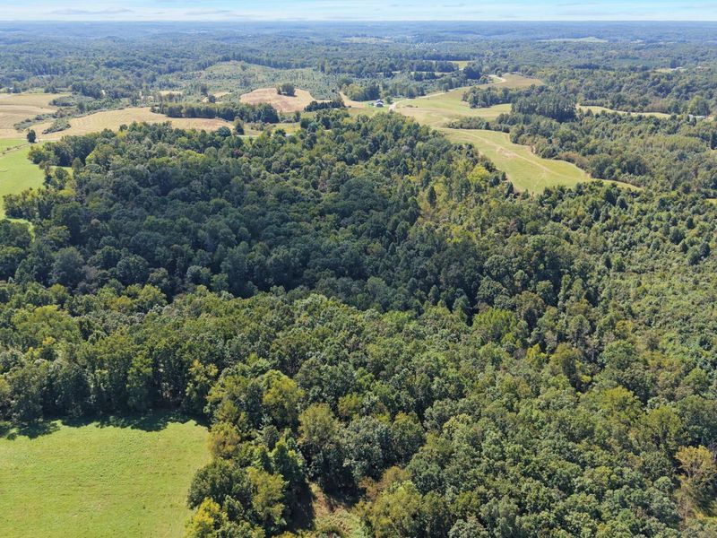 0 N Side SR 689 , Unit 10.57 AC, Albany, OH 45710 Photo 7