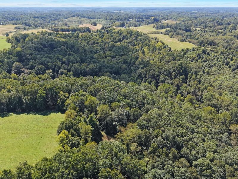 0 N Side SR 689 , Unit 10.57 AC, Albany, OH 45710 Photo 8