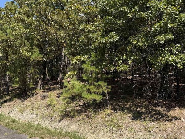 3 Ermalinda Place , Hot Springs Village, AR 71909