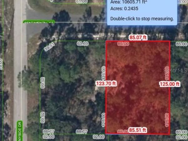 103 SENTIMENTAL COURT , LAKE PLACID, FL 33852