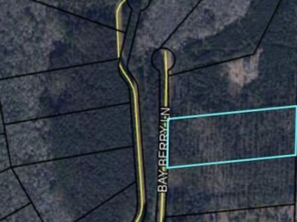 TBD Bay Berry Lane, Westville, FL 32464