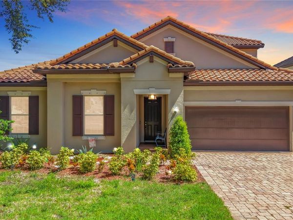 1107 ISOBEL RESERVE LANE , TAMPA, FL 33613