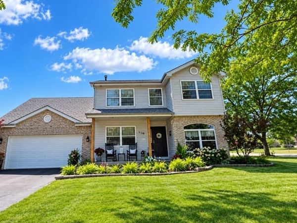 118 Bushthorn Drive, Elwood, IL 60421