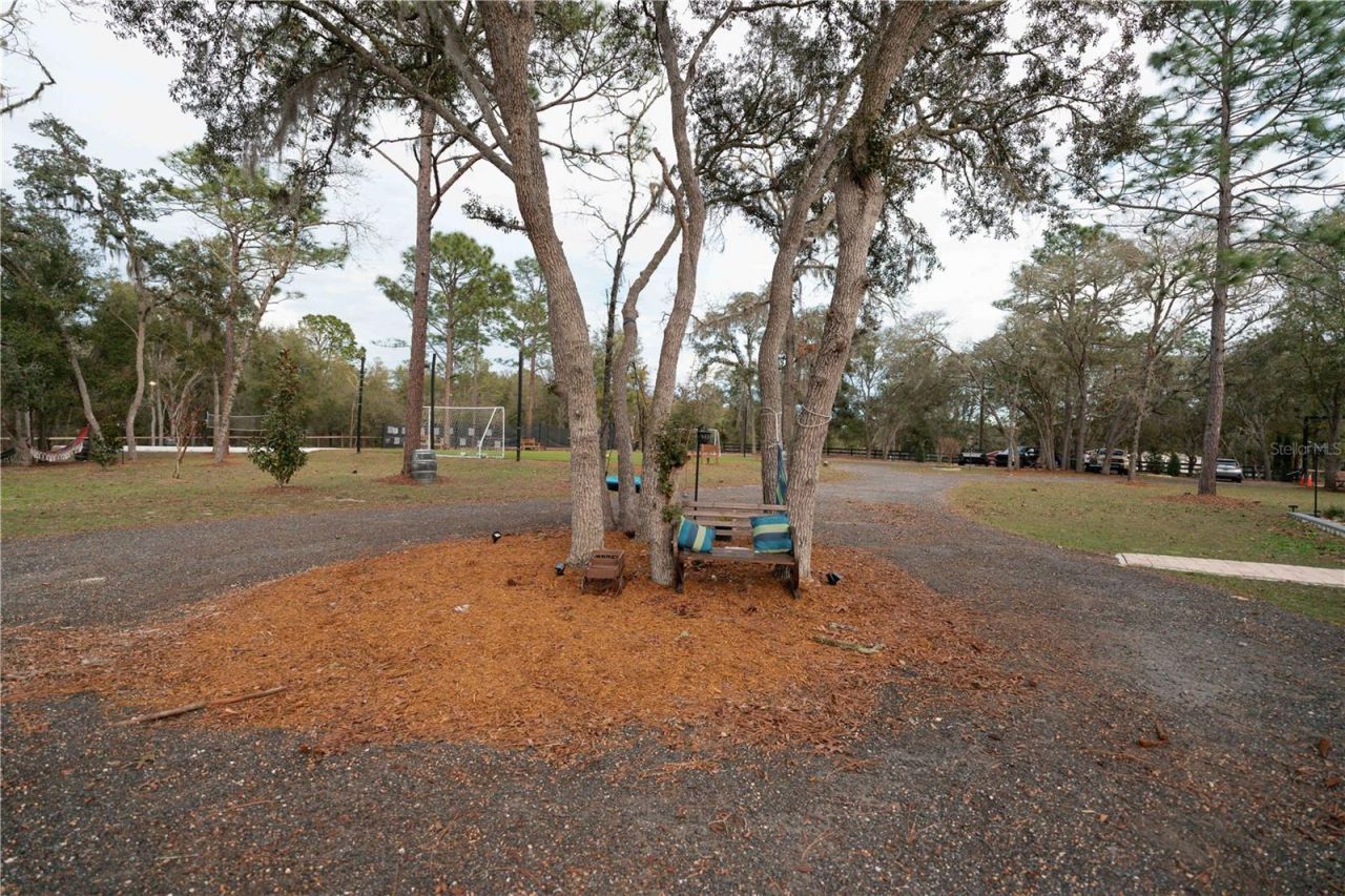 7670 NE 97th Court , Bronson, FL 32621 Photo