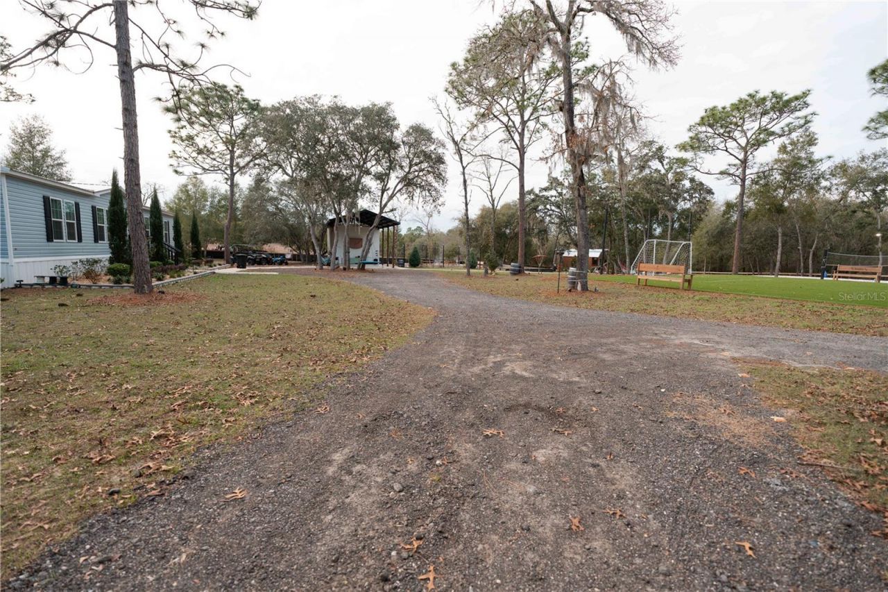 7670 NE 97th Court , Bronson, FL 32621 Photo